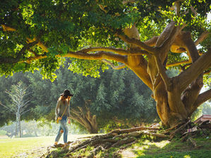 Camino a la transformación