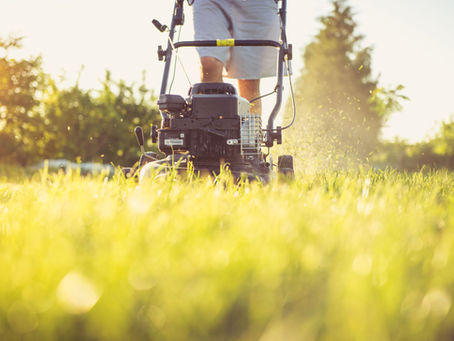Late Summer Lawn Repair: Why Now Is the Perfect Time to Bring Your Grass Back to Life
