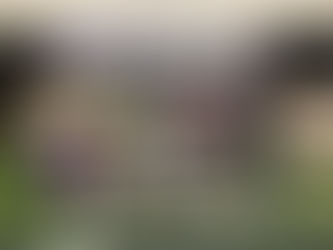 Rocky Lea Landscape Supply at the 2026 Washington County Home Show