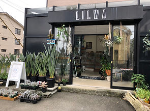 MAURA 店舗 リルワ