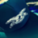 Thumbnail: "LIVE TO RIDE TO LIVE" SKULL BLACK TRUCKER HATS