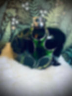 Thumbnail: FRANK FRAZETTA PEANUT TANK (SOLD SOLD SOLD)