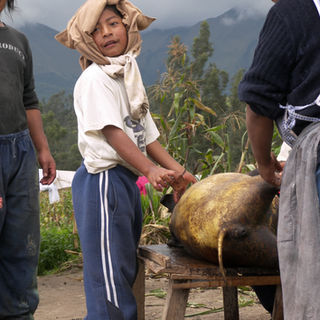 05peguche.jpg
