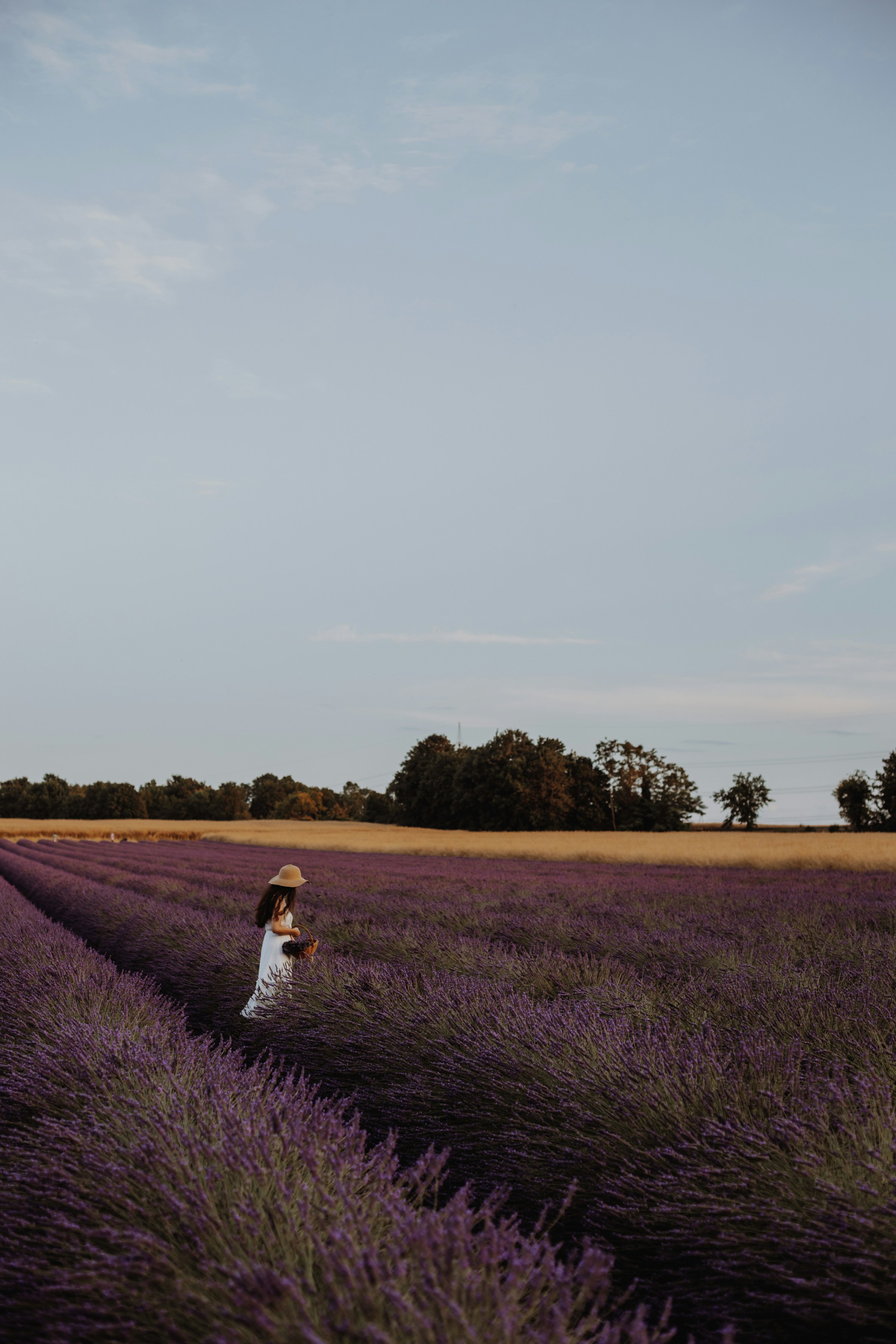 A woman standing in a lavender field