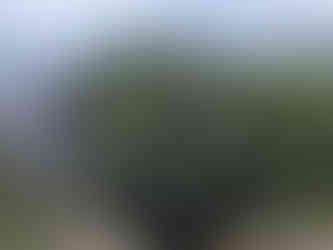 Flannan-Inseln: Leuchtturm und nördliche Klippen