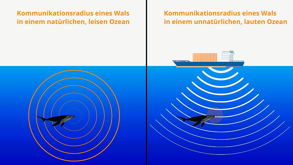 Kommunikationsradius eines Wales