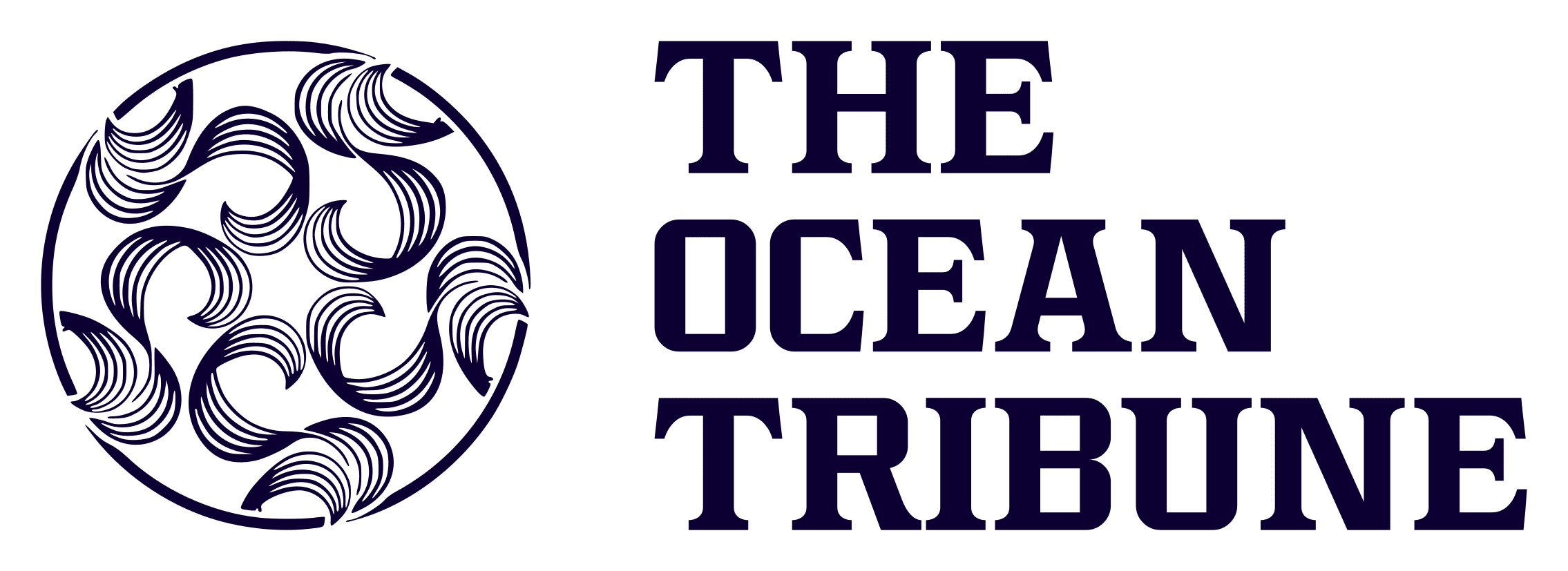 Logo blue text.png
