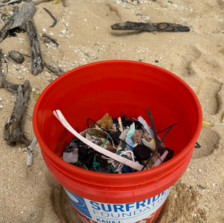 Beach CleanUp Tamara Landolt & Surfrider Foundation