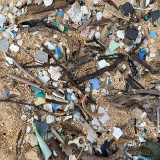 Beach CleanUp Tamara Landolt & Surfrider Foundation