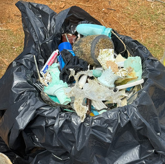 Beach CleanUp Tamara Landolt & Surfrider Foundation