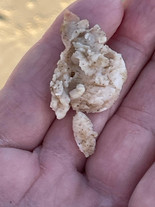 Piece of Salmon