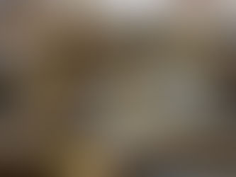 Case Analysis: Zanzibar’s Seaweed Paradox