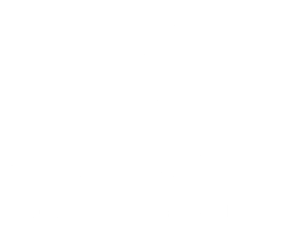 Project Vita Loom Logo