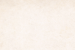 website back ground.png