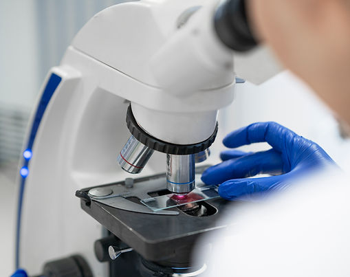 CLINICAL LABORATORIES GROUP