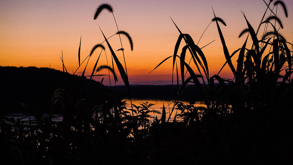 Susquehanna River Sunset