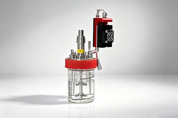 k10.jpg