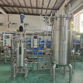 lab1st bioreactor (11).jpg
