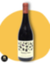 Carter Mollenhauer | Aurora de Itata, Cinsault