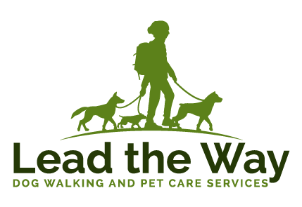 Lead the way dog walking sales