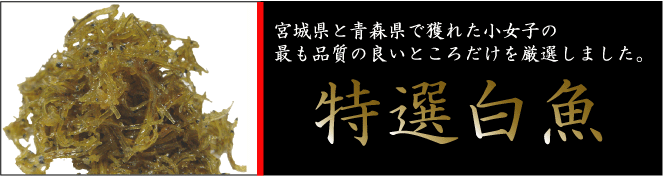 特選白魚メイン画像.gif