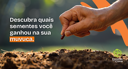 apresentação Muvuca sementes .png