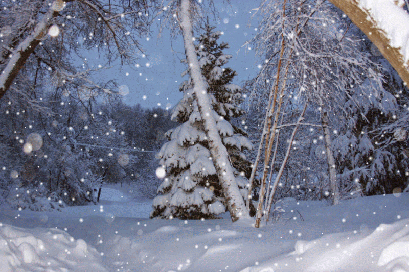 IMG_8781-SNOW
