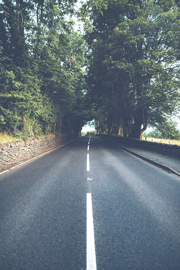 pexels-s-migaj-1237528_edited.jpg