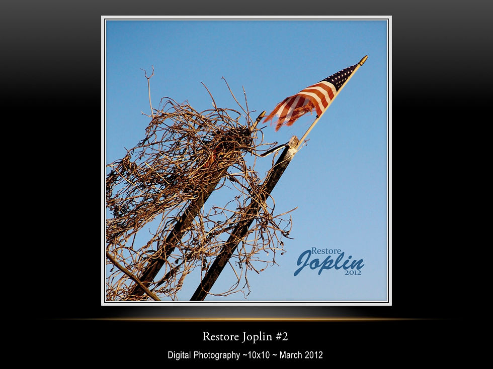 Restore Joplin #2