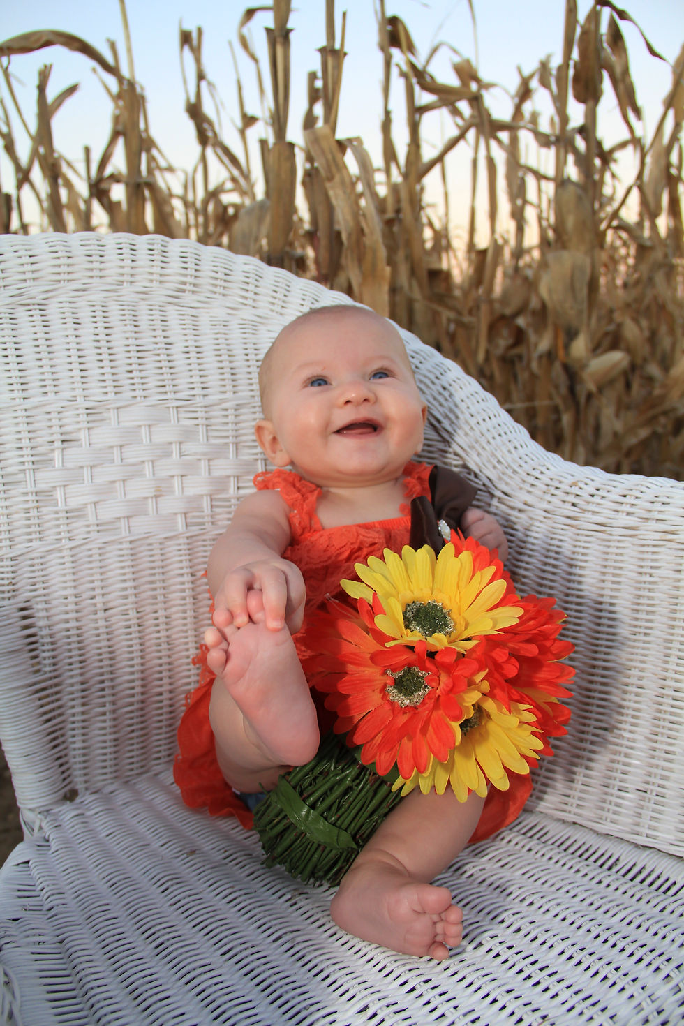 Izzy4Months_3