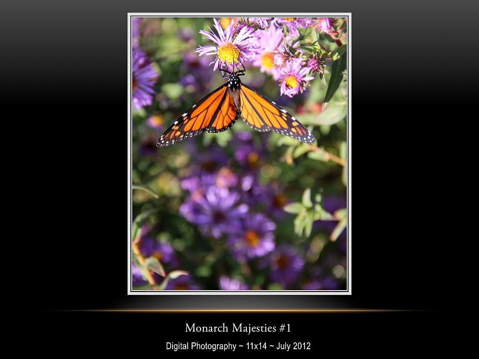 Monarch Majesties #1