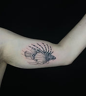 Budva tattoo lion fish black and shading work