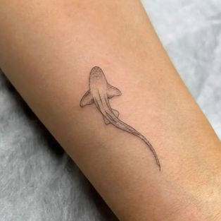 Fine line shark tattoo with subtle dot shading on the inner forearm, created by a tattoo artist in Budva, Montenegro.