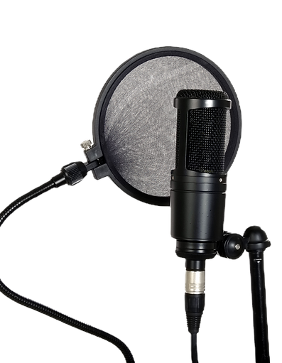 Microphone_edited_edited.png