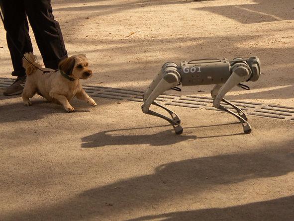 dog barking at a robot dog