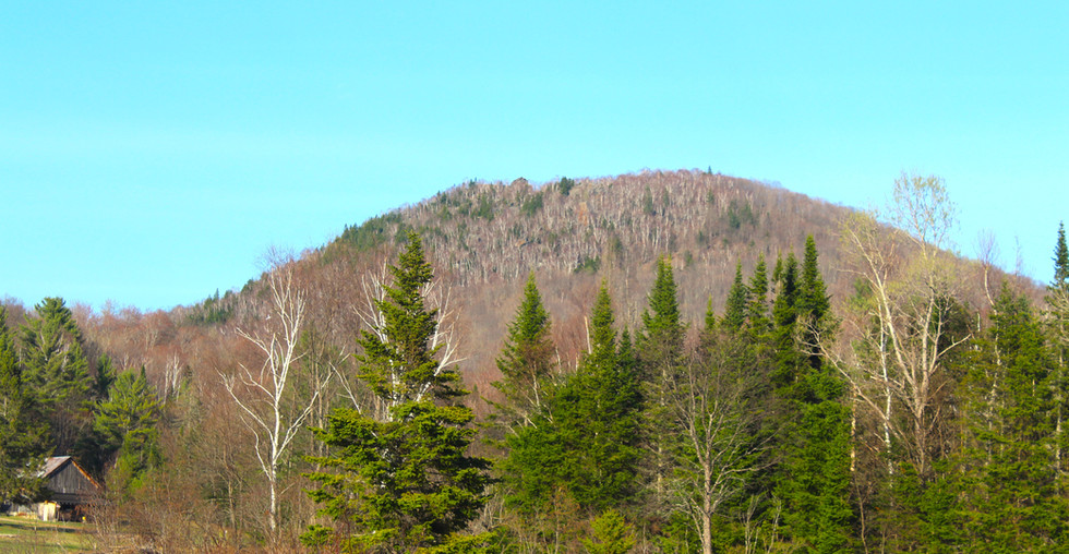 Hemlock Cabin cabinschimneymtn