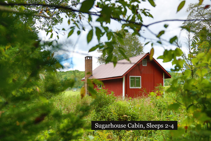 Cabin in Adirondack mountains on lake front property