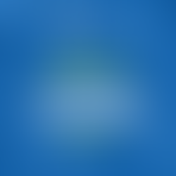 Quais são as penalidades para um processo de exportação com informações incorretas?