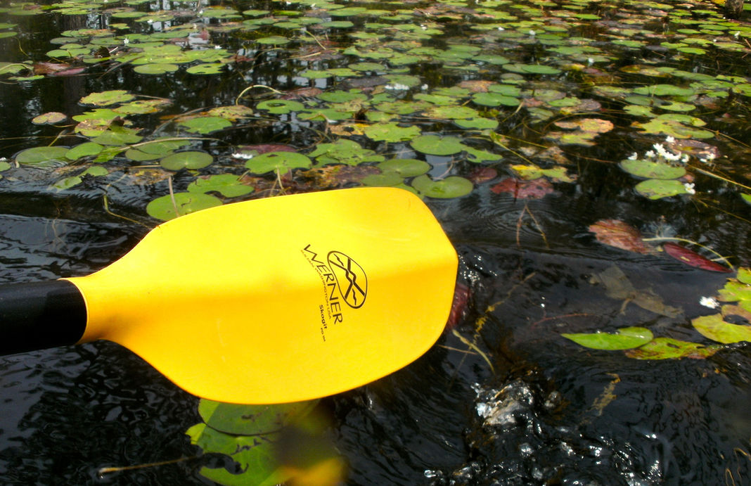 Social media2-Goodale State Park July 4, 2011 (9).jpg