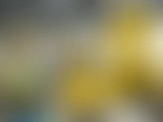 Amazon Shelves Blue Jay Robot Project