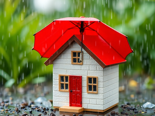 Uninsured Tenants: A Risky Business for Landlords