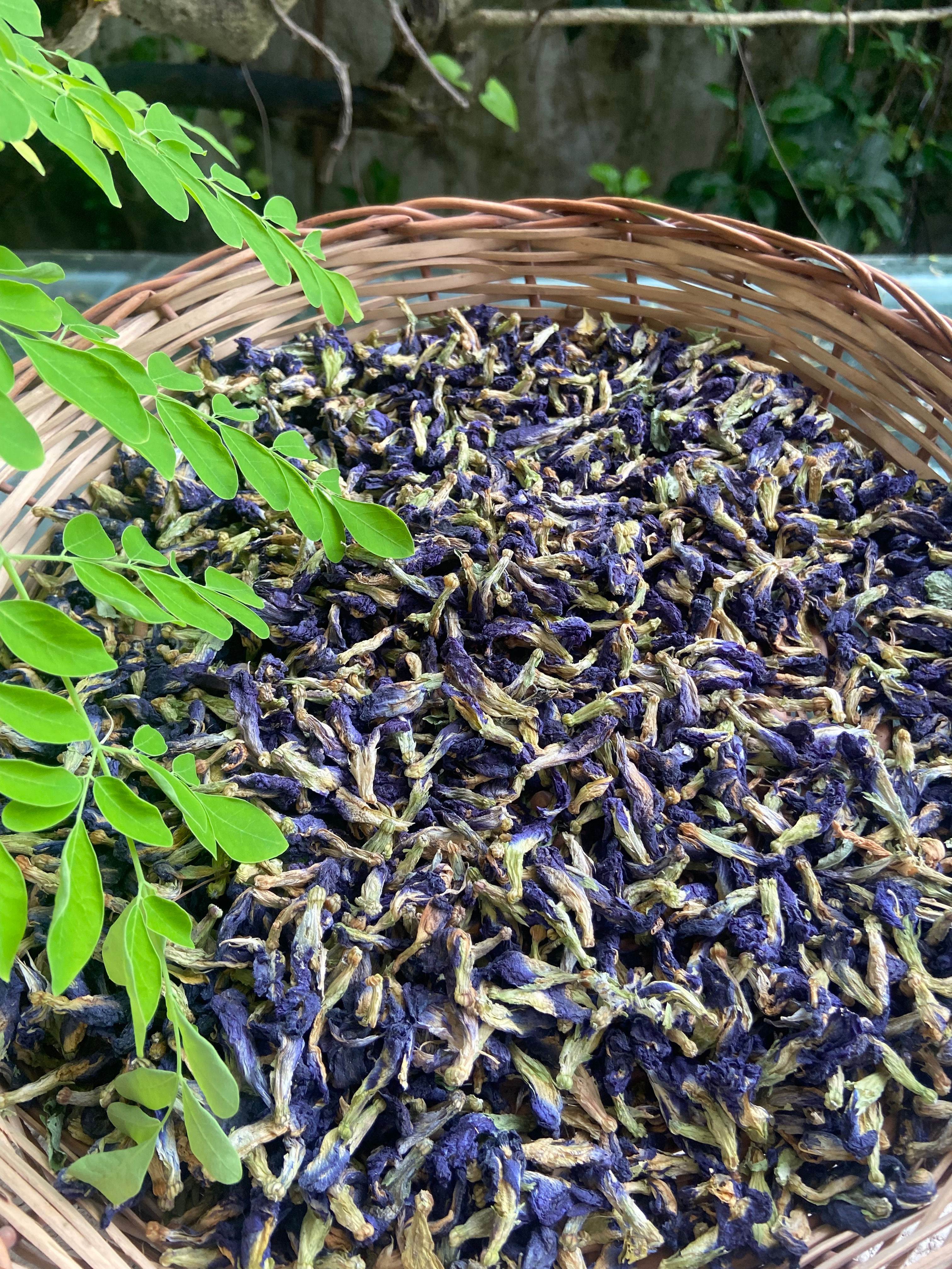 Fresh Harvest Blue Pea Flower