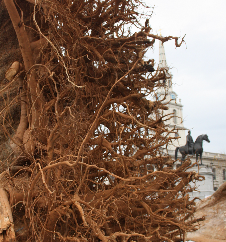 The Ghost Forest Angela Palmer.png