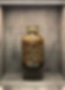 陳皮1_edited.jpg
