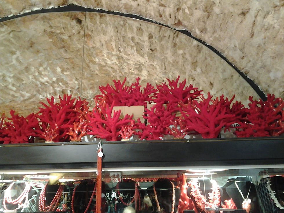 2014-09-16 14.09.12.jpg
