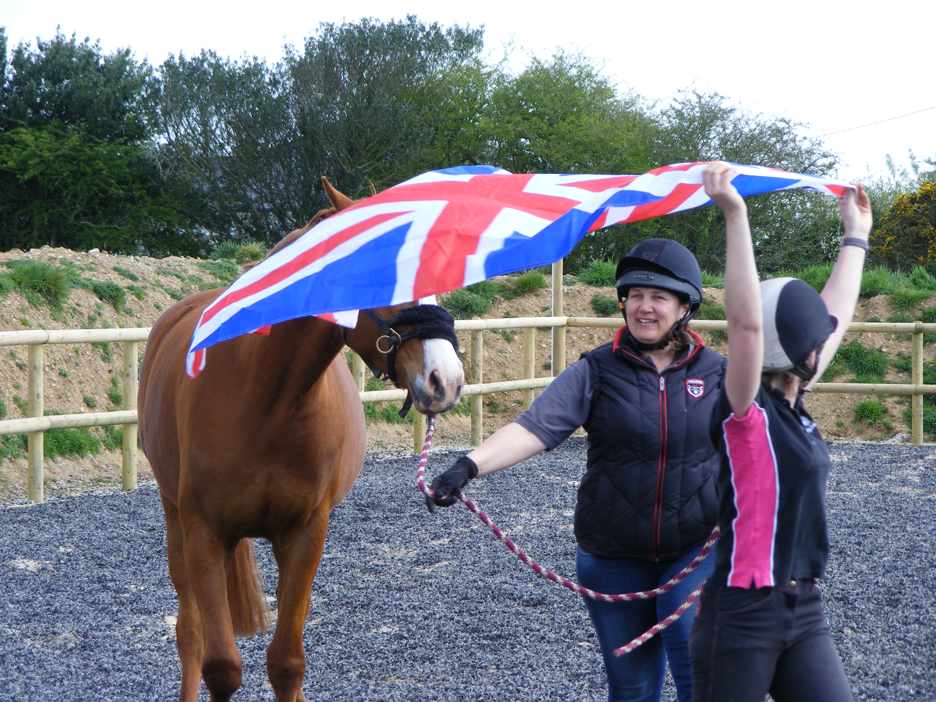 Flag training