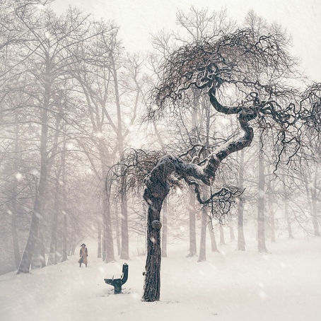 Bouncing Back Stronger: The Art of Cultivating Resilience