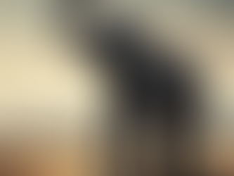 Depiction of an elephant breaking free of chains that has constrained it with a city skyline in the background.