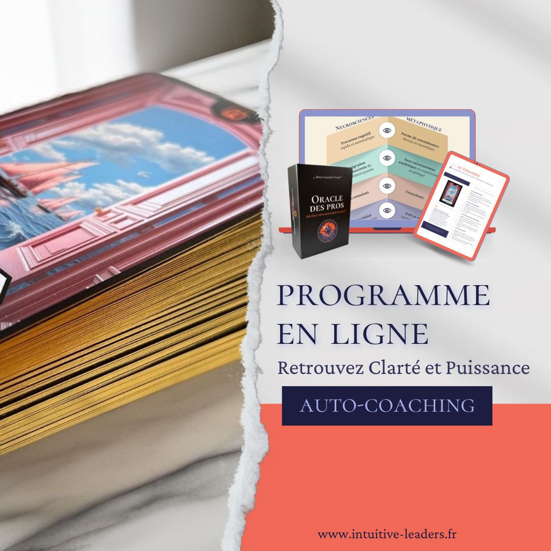 Programme Oracle des Pros