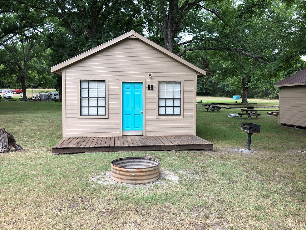 Cabin 11